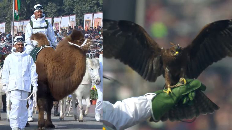 Republic Day 1 1