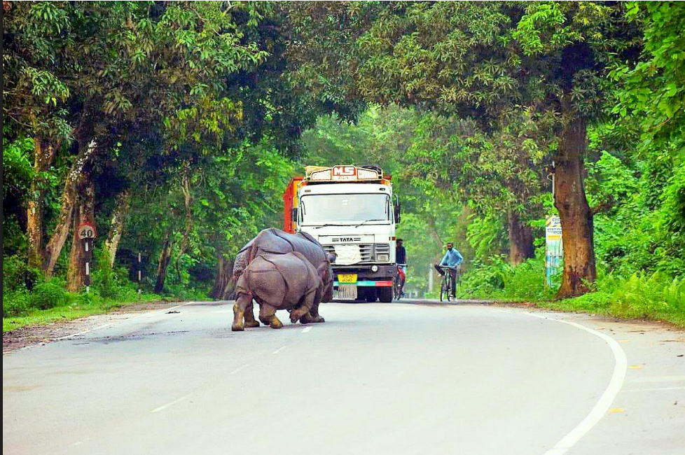 Screenshot 2026 01 21 233736