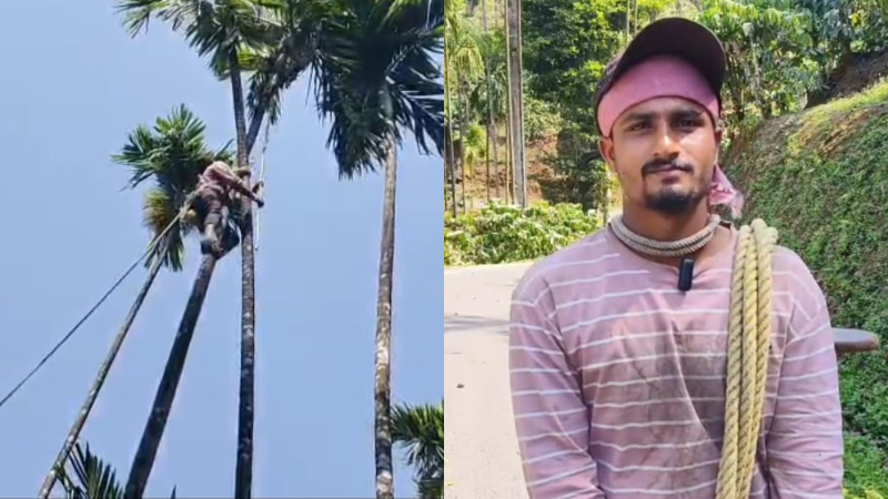 man quits a Rs 40000 job in Bengaluru and works as a areca nut tree climber in his hometown Kalasa 1 1