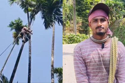 man quits a Rs 40000 job in Bengaluru and works as a areca nut tree climber in his hometown Kalasa 1