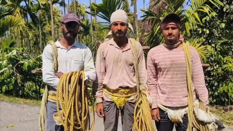 ಬೆಂಗಳೂರಿನಲ್ಲಿ 40 ಸಾವಿರದ ಉದ್ಯೋಗಕ್ಕೆ ಗುಡ್ಬೈ - ಊರಿನಲ್ಲಿ ಅಡಿಕೆ ಕೊನೆಕಾರನ ಕೆಲಸಕ್ಕೆ ಜೈ 3 man quits a Rs 40000 job in Bengaluru and works as a areca nut tree climber in his hometown Kalasa 2