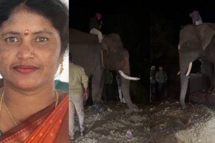 woman dies in elephant attack in mugali sakleshpur 1