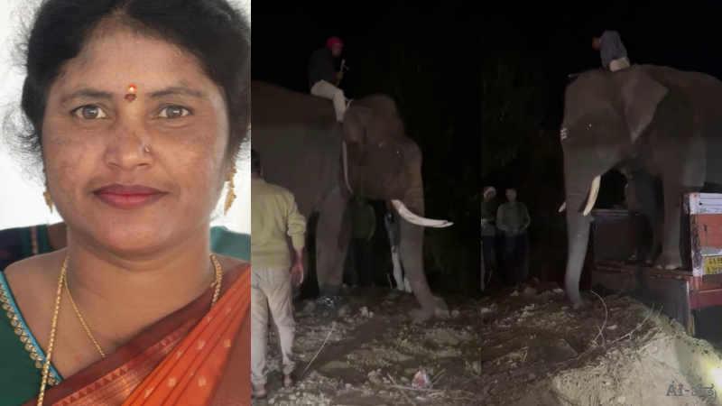 woman dies in elephant attack in mugali sakleshpur 1