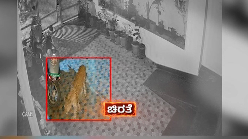 ಬೆಂಗಳೂರಿನ ಅಂಜನಾಪುರದಲ್ಲಿ ತಪ್ಪದ ಚಿರತೆ ಭೀತಿ - ಮನೆಯಿಂದ ಹೊರ ಬರಲು ಭಯ ಪಡ್ತಿರೋ ಜನ! 4 Anjanapura 2