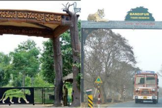 Bandipur Nagarahole