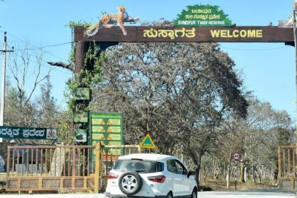 Bandipur Tiger Reserve