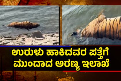 Chamarajanagar Gunda Reservoir Tiger Death