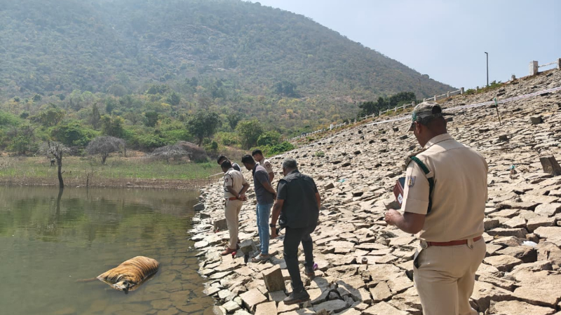 Chamarajanagar Hills