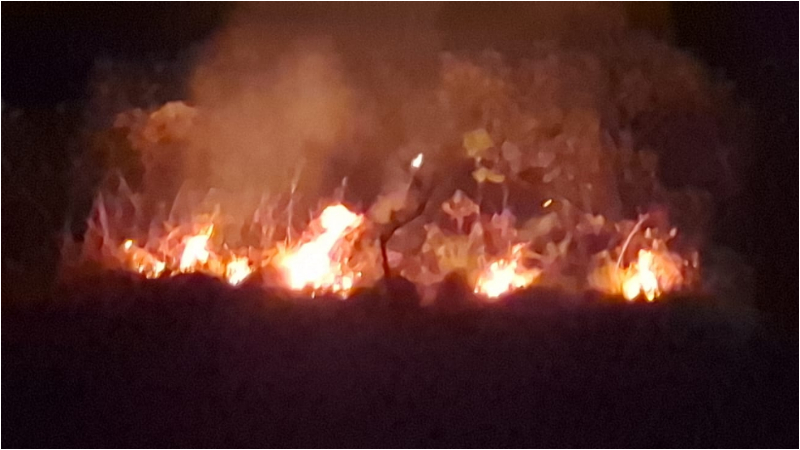 ಚಾರ್ಮಾಡಿ ಘಾಟಿ ಅರಣ್ಯ ಪ್ರದೇಶದಲ್ಲಿ ಕಾಳ್ಗಿಚ್ಚು - ಎಕರೆಗಟ್ಟಲೆ ಸೂಕ್ಷ್ಮ ಹುಲ್ಲುಗಾವಲು ಬೆಂಕಿಗಾಹುತಿ 3 Charmadi Ghat Wildfire 1