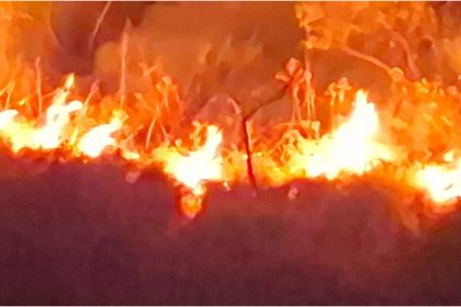 Charmadi Ghat Wildfire