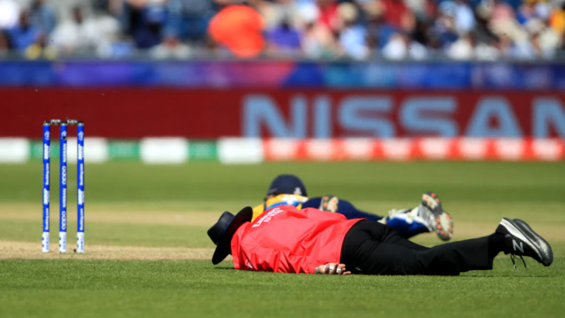 ಕ್ರಿಕೆಟ್ ಪಂದ್ಯದ ವೇಳೆ ಜೇನು ದಾಳಿಗೆ ಅಂಪೈರ್ ಸಾವು 1 Cricket Umpire