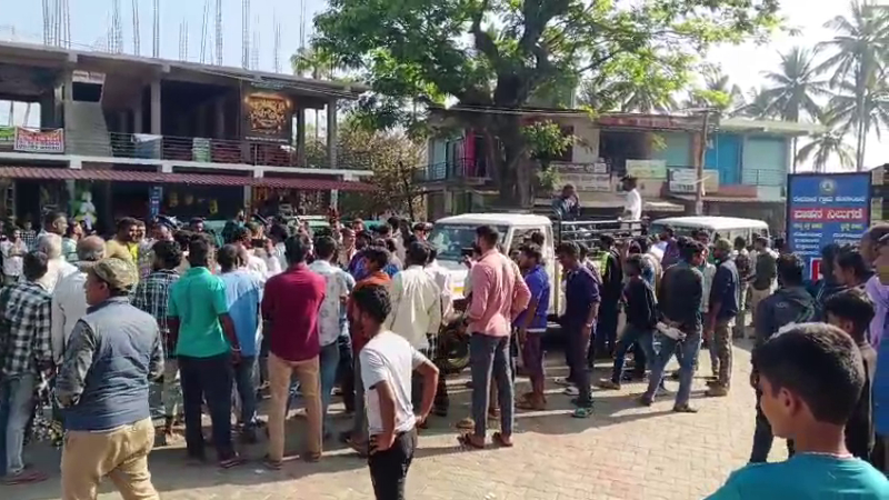 Elephant Woman Death