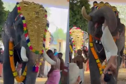 Kerala Thrissur Elephant throws priest