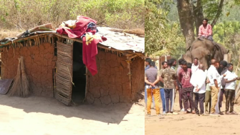 Madikeri Dubare Elephant Camp
