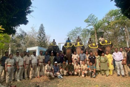 Ramanagara Wild Elephant Capture operation