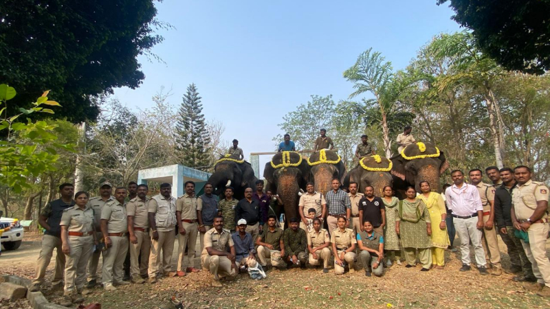 Ramanagara Wild Elephant Capture operation