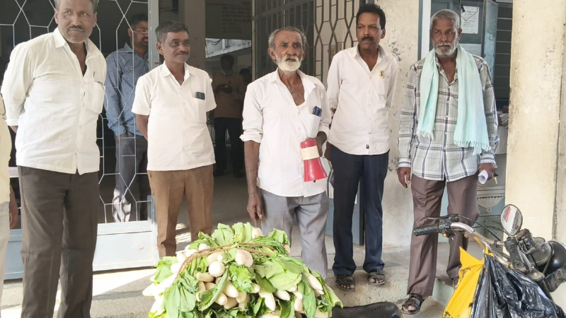 Tumakuru Farmer Radish