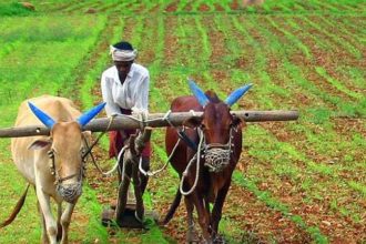 ಇಂದು ಪಿಎಂ ಕಿಸಾನ್ ಯೋಜನೆಯ 24ನೇ ಕಂತು ಬಿಡುಗಡೆ 11 kisan