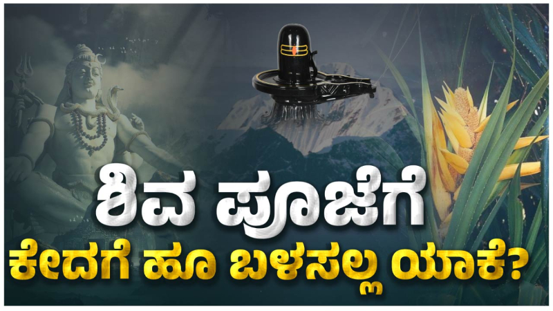 mahashivratri 2024 Kedige Flower Why Ketaki Flower is Not Offered to Lord Shiva