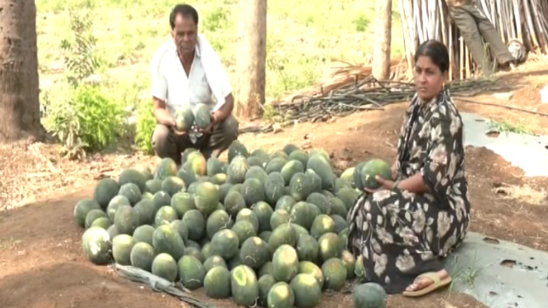 2 rupees per 1 kg watermelon price drops due to iran war bidar farmers 2 2