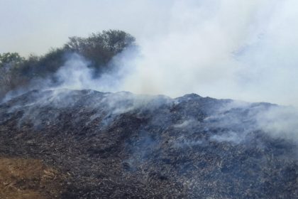 320 quintals of corn burnt in fire accident in Nyamathi davangere