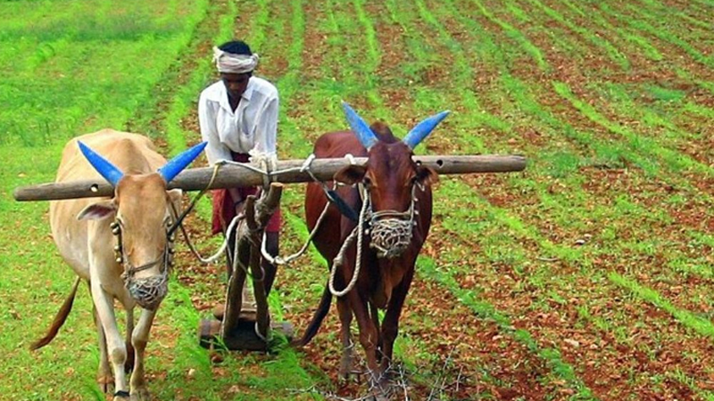ರೈತರು ಯಾವ್ದೇ ಕಾರಣಕ್ಕೂ ಕೃಷಿಗೆ ನೀರು ಬಳಕೆ ಮಾಡಬಾರದು: ಸಿಎಂ ಡಿಕೆಶಿ ಮತ್ತೆ ವಾರ್ನಿಂಗ್ 10 Agriculture 2