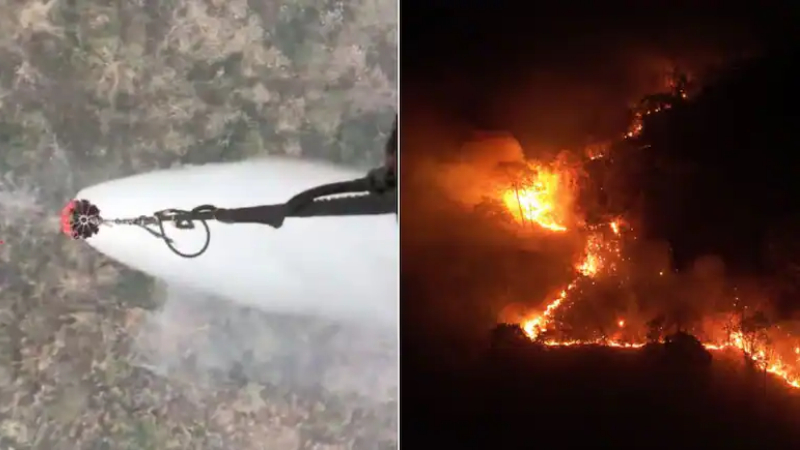 Arunachal Forest Fire