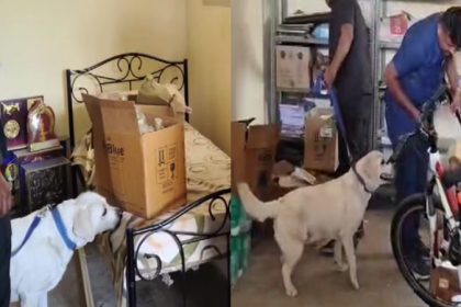 Bomb threat to Davangere DCs residence