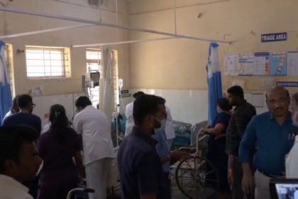 Davanagere Bee Attack