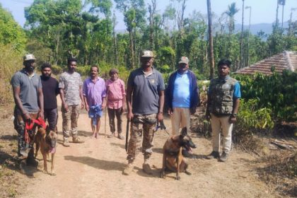 Dog squad searches for those who set fire to Muthodi forest in Chikkamagaluru