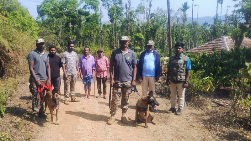Dog squad searches for those who set fire to Muthodi forest in Chikkamagaluru