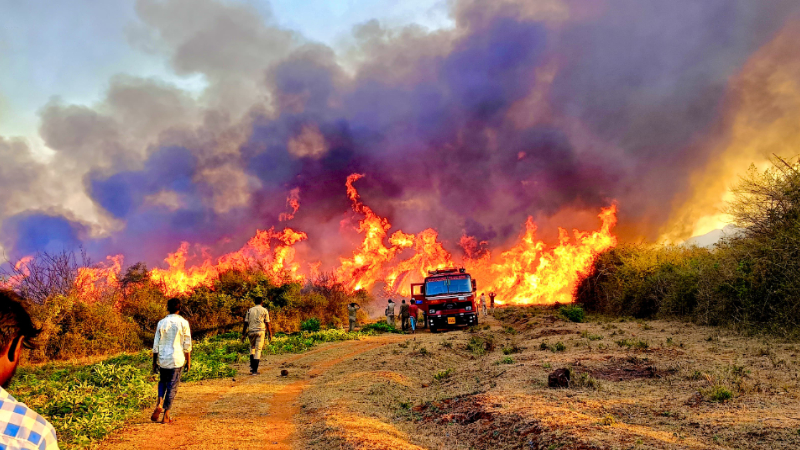 Major forest fire at BRT Chamarajanagar