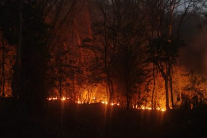 Muthodi Forest Fire