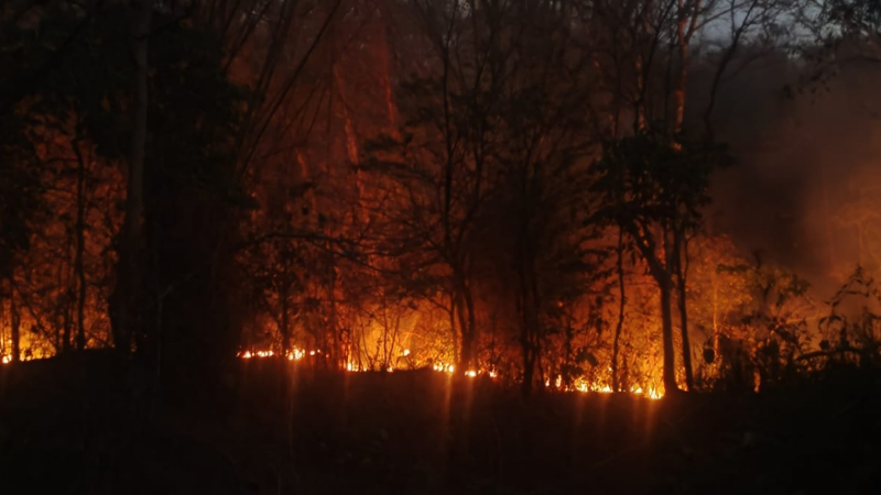 Muthodi Forest Fire