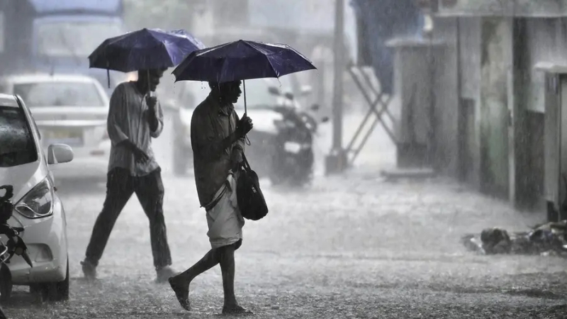 Rain 5