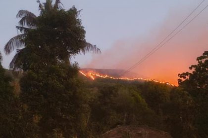 Shola Forest Wildfire chikkamagaluru