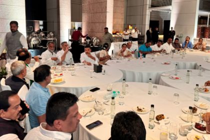 dinner meeting congress mla 2