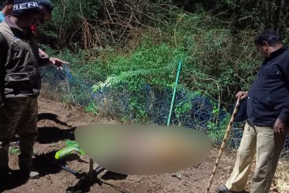 tiger death chamarajanagara