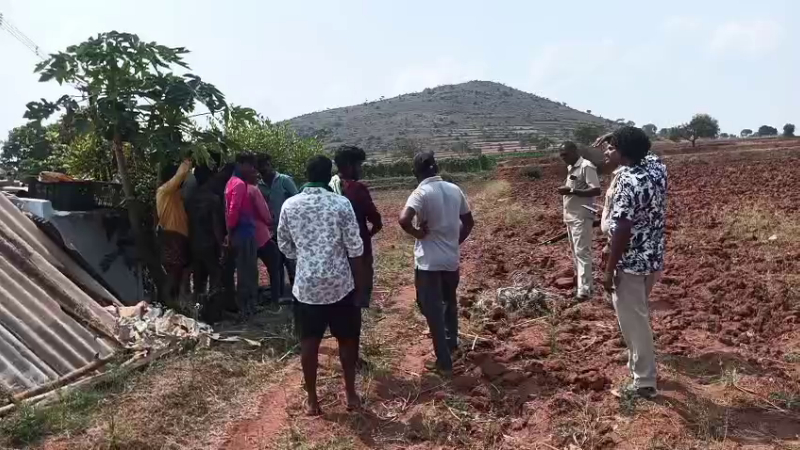 ಚಾ.ನಗರ| ಭೀಮನಬೀಡು ಗ್ರಾಮದಲ್ಲಿ ಮತ್ತೆ ಹುಲಿ ಪ್ರತ್ಯಕ್ಷ - ಗ್ರಾಮಸ್ಥರಲ್ಲಿ ಆತಂಕ 1 tiger found in bheemanabeedu