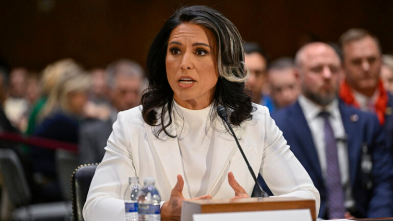 tulsi gabbard
