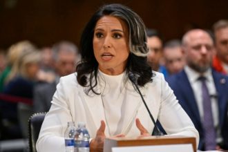 tulsi gabbard 1 1