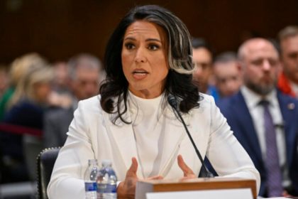 tulsi gabbard 1 1