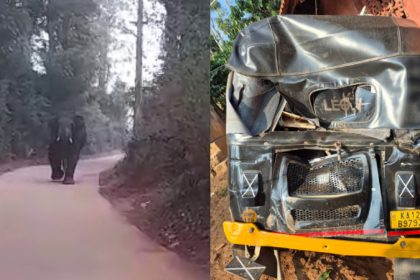 wild elephant attacks parked auto in kushalnagar