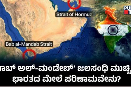 Bab al Mandab Strait India