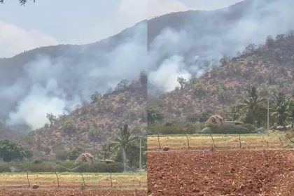 Chamarajanagar BRT Forest Fire