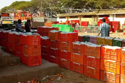 Chikkaballapura APMC 2