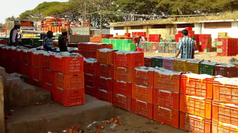 Chikkaballapura APMC 2