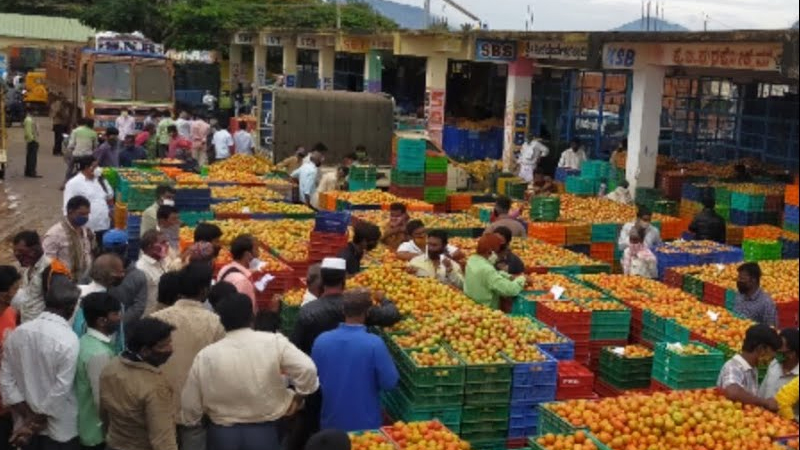 Chikkaballapura APMC