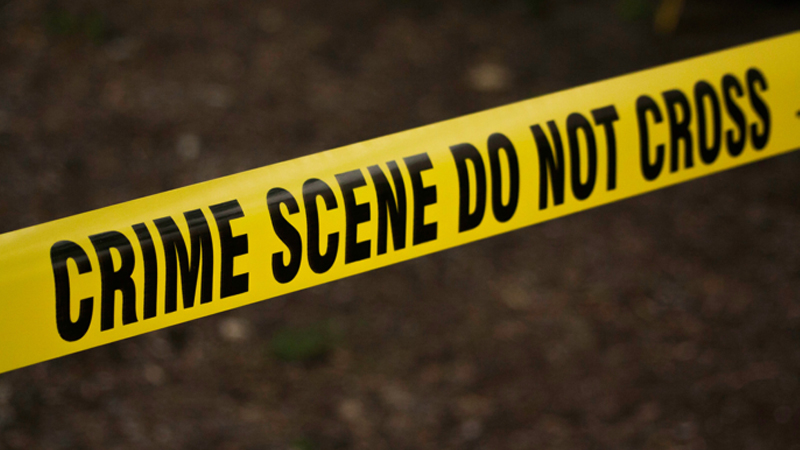 Crime 2