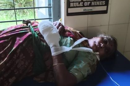 Crude bomb explosion in Thirthahalli Elderly woman seriously injured